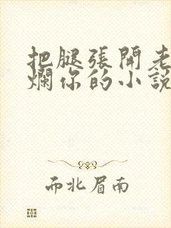 把腿张开老子臊烂你的小说