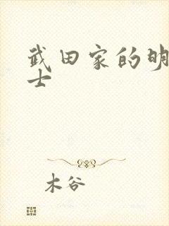 武田家的明国武士