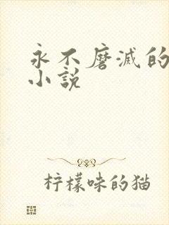 永不磨灭的番号小说