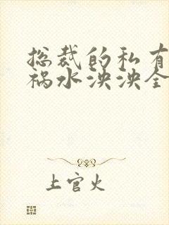 总裁的私有宝贝祸水泱泱全文阅读