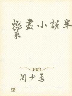 燃尽小说半截白菜