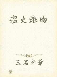 温火炖肉