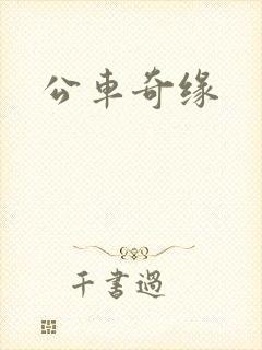 公车奇缘