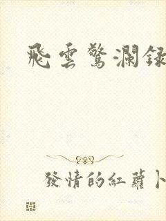 飞云惊澜录