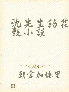 沈先生的花式调教小说