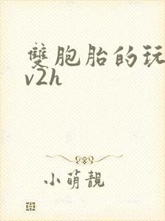 双胞胎的玩具1v2h