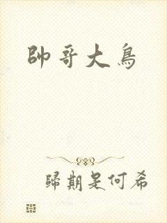 帅哥大鸟
