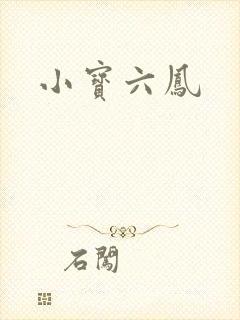 小宝六凤