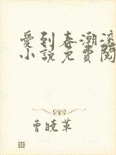 爱到春潮滚滚来小说免费阅读