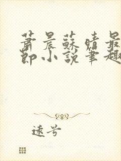 萧晨苏晴最新章节小说笔趣阁