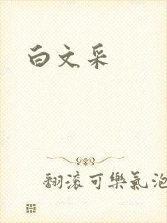 白文采