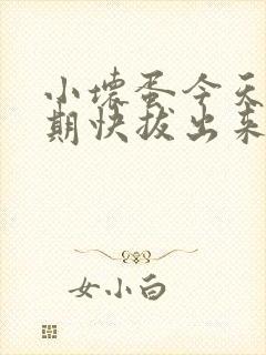 小坏蛋今天危险期快拔出来