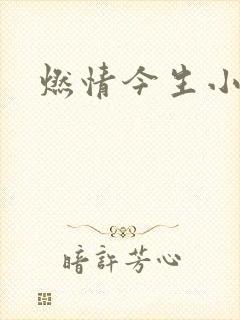 燃情今生小说