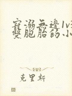 宠溺无边1v3双胞胎的小说