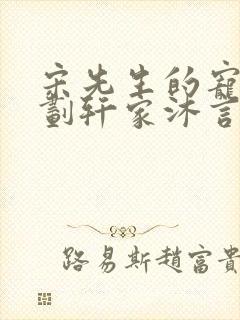 宋先生的宠妻计划轩家沐言