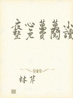 夜心万万小说完整免费阅读全文