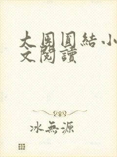 大团圆结小茹全文阅读