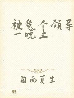 被几个领导玩弄一晚上