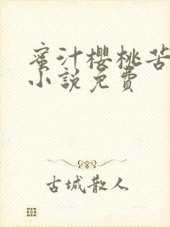 蜜汁樱桃苦咖啡小说免费