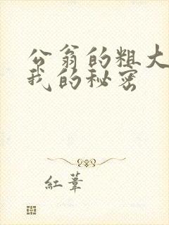 公翁的粗大放进我的秘密