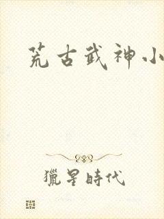 荒古武神小说