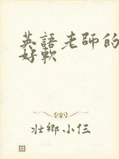 英语老师的兔子好软