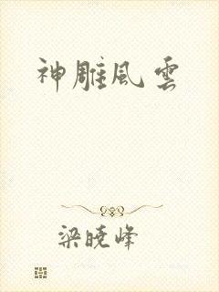 神雕风云