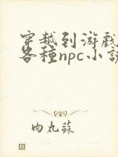 穿越到游戏里和各种npc小说