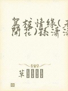 驾校情缘(老树开花)孙潇潇笔趣阁