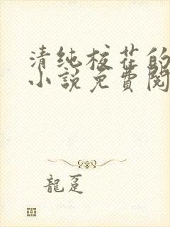 清纯校花的秘密小说免费阅读