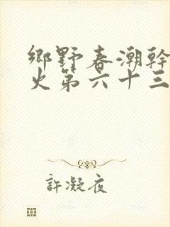 乡野春潮干柴烈火第六十三章