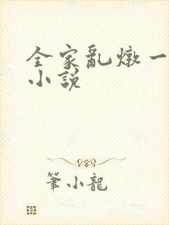 全家乱炖一锅烩小说