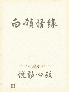 白领情缘