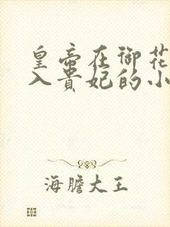 皇帝在御花园进入贵妃的小说