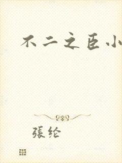 不二之臣小说