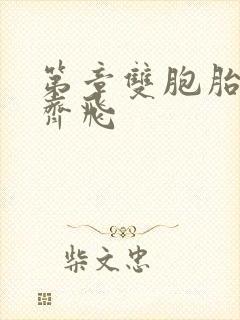 第章双胞胎姐妹齐飞