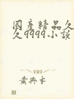 国产精品久久久久9999小说