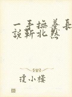 一手抚养长大小说靳北然