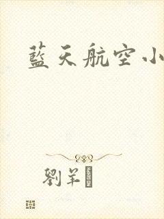 蓝天航空小说