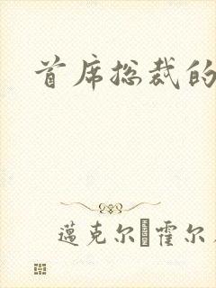 首席总裁的逃妻