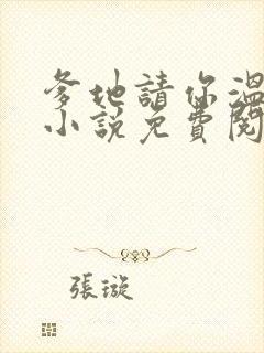 爹地请你温柔点小说免费阅读