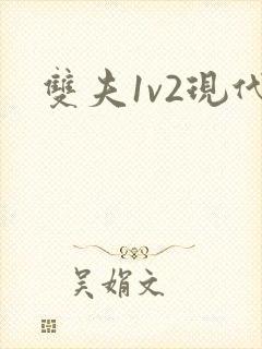 双夫1v2现代