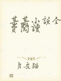 某某小说全文免费阅读