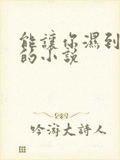 能让你湿到不行的小说