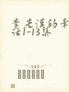 李老汉的幸福生活1-13集
