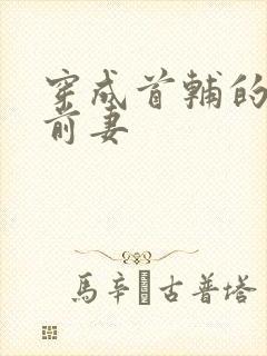 穿成首辅的炮灰前妻