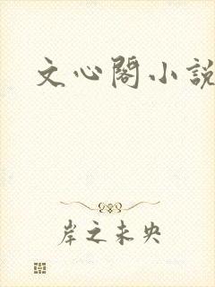 文心阁小说
