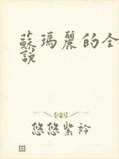 苏玛丽的全部小说