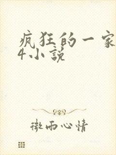 疯狂的一家ps4小说