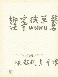 绑定挨草系统后没有wuwu名字